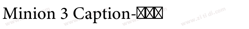 Minion 3 Caption字体转换